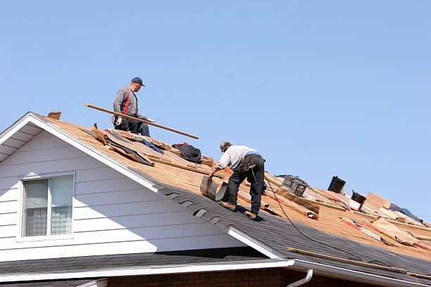 Best Cold Roofs  in Huntsville, AR
